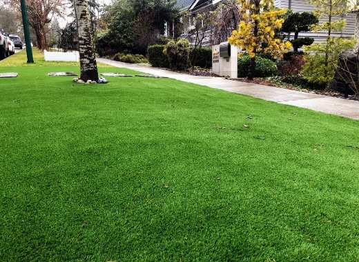 img-s4-Turf-4