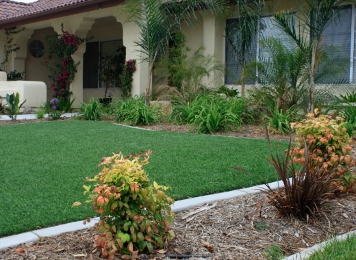 img-s5-Landscape-Plants