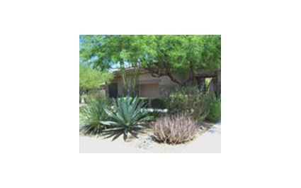 Phoenix Landscape Maintenance To Do List for Month of June