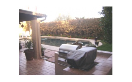 How to Prevent Frost Damage in Phoenix Winters