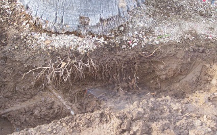 Top 17 Irrigation Problems Arizona Residents Face Each Year