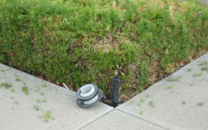 Top 5 Landscape Lighting Issues for Arizona Homeowners