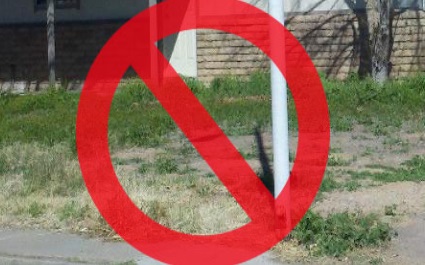 How To Get Rid of Weeds in Phoenix, Arizona