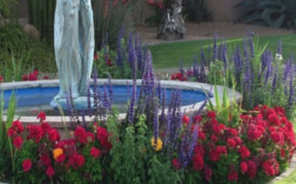 Winter Flowers October Special From Goodman’s Landscape