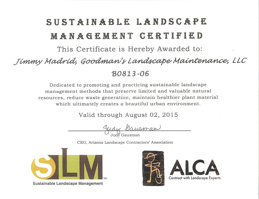 J_Madrid_SLM-ALCA_cert1