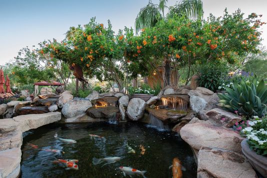 landscape design
