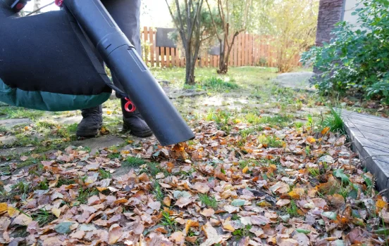 seasonal-cleanup