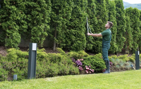 tree-trimming-hoa