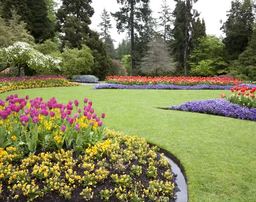sustainable-landscaping