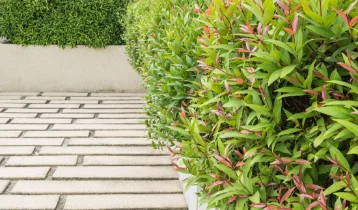 curb-appeal