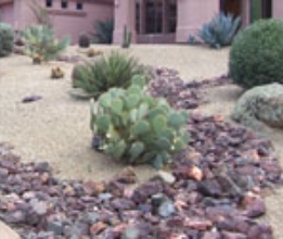 DESERT LANDSCAPE #2