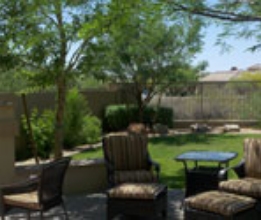 BACKYARD LANDSCAPE #7