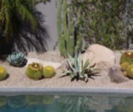 POOL LANDSCAPING #13