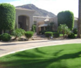 DRIVEWAY LANDSCAPE #16