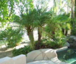 SPA LANDSCAPE #20