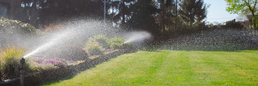 May Landscape Maintenance in the Phoenix Climate