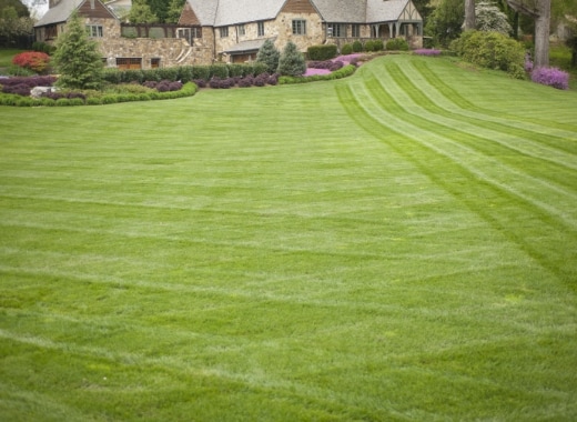 img-s4-Turf-2