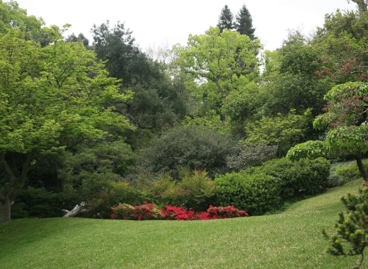 img-s6-Landscape-Plants-1