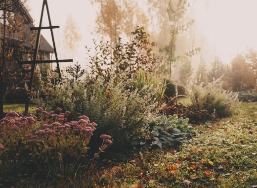 img-symtoms-05