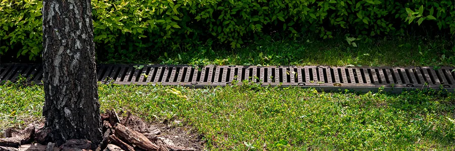Landscape Drainage and Erosion Control in Phoenix: What Every Homeowner Needs to Know